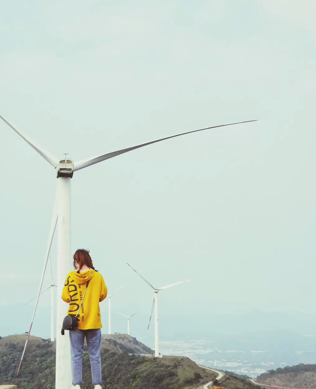 Energía eólica: cambiar a un proveedor de energía limpia